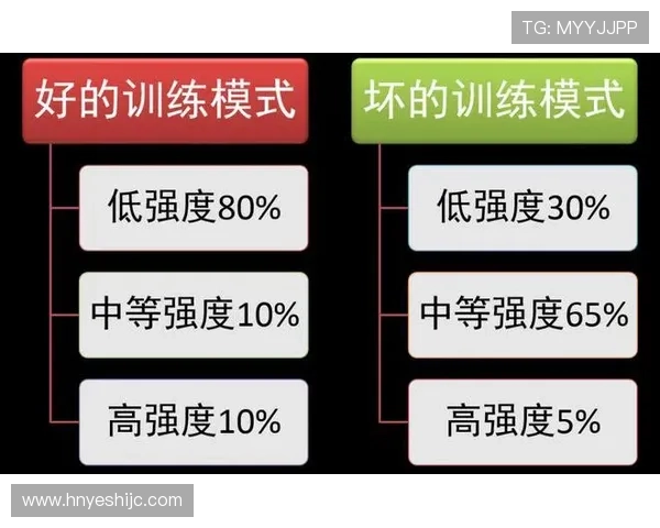 全面深度解析马拉松赛事起源发展与科学训练策略全指南实用版精要